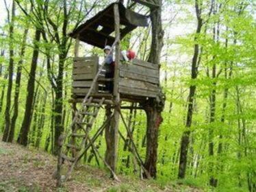 Jó vagy rossz a vadászati törvény módosítása?