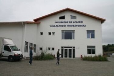 Vállalkozásokat ­pátyolgatnak