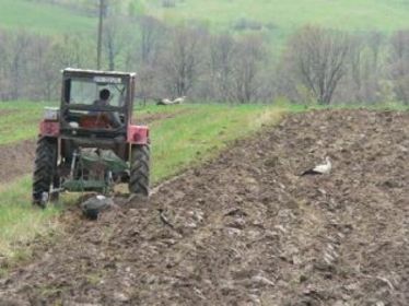 Tavasz a mezőkön