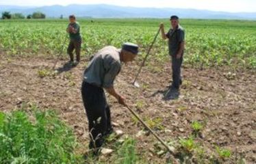 Forró nyár Barátoson - Mózes László