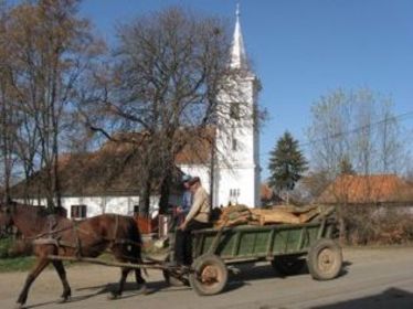 Tavaszi gondok Székelytamásfalván