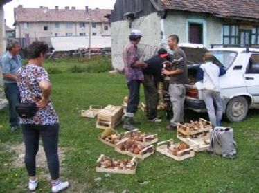 A szerző felvétele