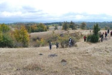 Dolina a Gódra-karszton 				   A szerző felvétele