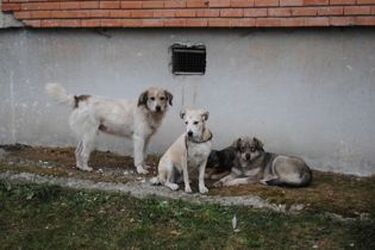 Fotó: Iochom István