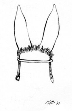 Skorpió