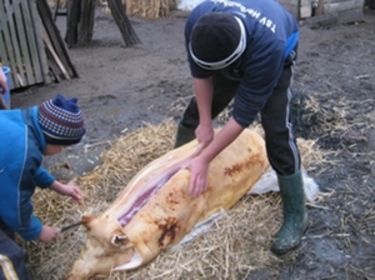 Ahány ujjas...		           Incze Szabolcs Orbaiteleken készült felvétele