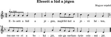 Elesett a lúd a jégen (Magyar népdal)