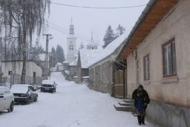 Albert Levente felvétele