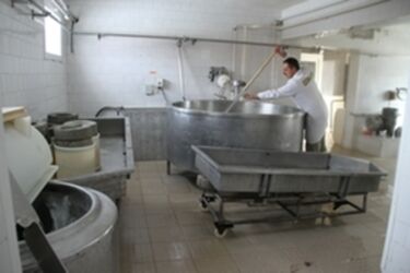 Alapítványi támogatással indult a helyi tejfeldolgozó