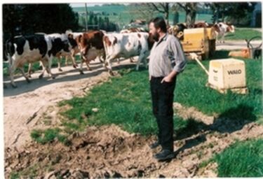 A svájci André Bebede Red holstein-farmján, ahol az évi tejhozam 12 ezer liter tehenenként (nálunk az átlag 4000–5000 liter)