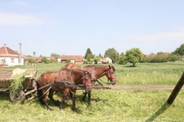 Idegen kézbe kerül a háromszéki föld? Albert Levente felvétele