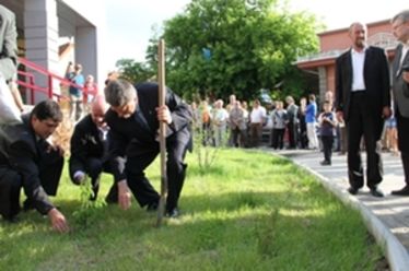 Fenyőcsemetét ültetnek. Albert Levente felvétele