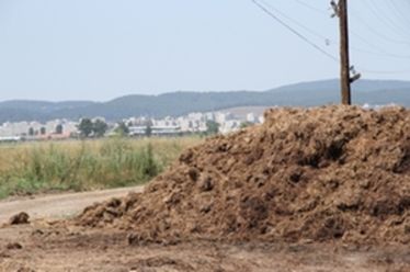 Hatalmas halmokban áll a tyúktrágya a város határában. Fotó: Albert Levente