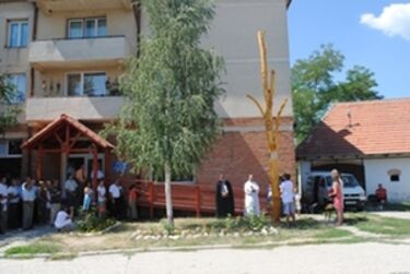 Gazdagodott az életfa. A szerző felvétele