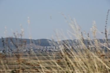 Albert Levente felvétele