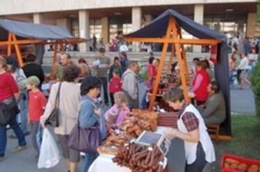 A szerző felvétele