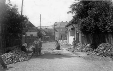 7. kép