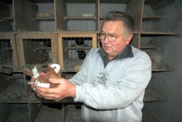 Várdó Zoltán. A szerző archív felvétele