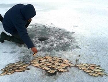 A szerző archív felvétele