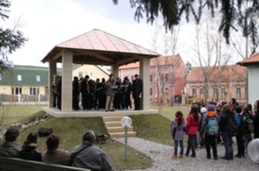 Albert Levente felvétele