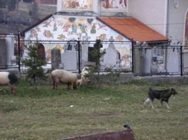 A szerző felvétele