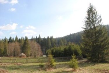 A szerző felvétele