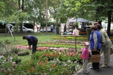 A szerző felvétele