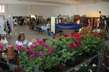 Albert Levente felvétele