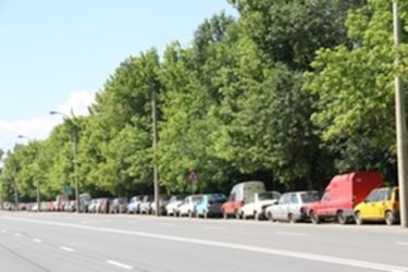 Albert Levente felvétele