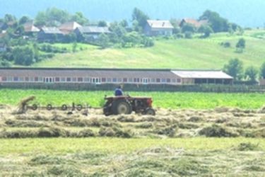 A széna rendbe szedése is gépesített