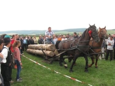 Lovasparádé és népünnepély (Gidófalva)