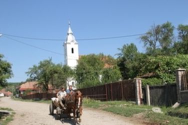 Ünnep előtt Sepsiszentkirályban