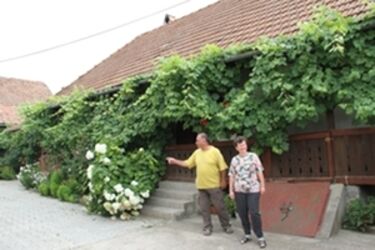 Falusi szálláshely Sepsikőröspatakon (Vendégforgalom  válság  idején)