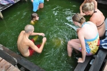 Székelypetőfalván már teljében a nyár			            Archív felvétel