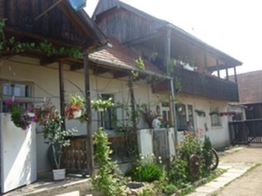 Vándorszékely hazatalál