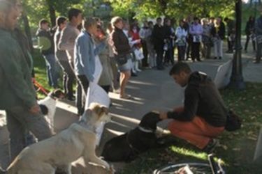 Tüntetés az Erzsébet parkban           Albert Levente felvétele