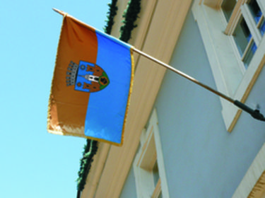 A román kormány által elfogadott címert megjelenítő városzászló                    Szekeres Attila felvétele