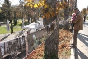 Albert Levente felvétele