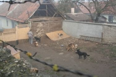 A szerző felvétele