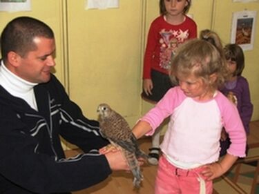 A vércsével ismerkednek a gyerekek
