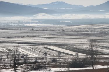 Albert Levente felvétele