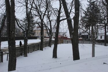 Albert Levente felvétele