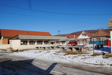 A szerző felvétele