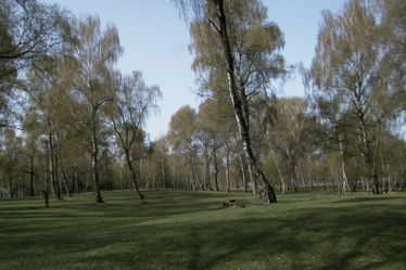 A Rétyi Nyírben épül meg a látogatóközpont