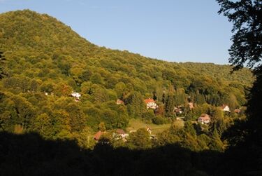iochom istván felvétele