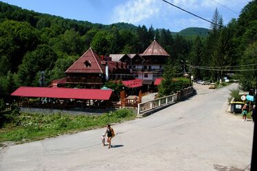 A szerző archív felvétele