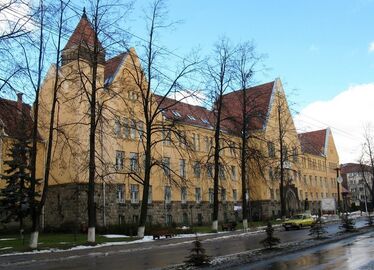 Kisvárosi forradalom (Visszaemlékezés-töredékek)