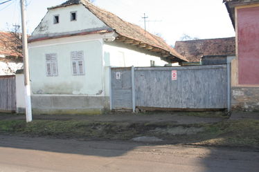 Több tucat ebet tartanak a bölöni portán