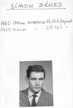 Simon Dénes