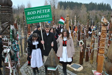 A szerző felvétele